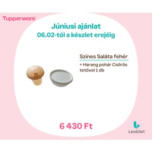   Színes saláta fehér + 1 db Harang Pohár Csőrös tetővel barack