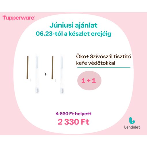 Öko+ Szívószáltisztító kefe védőtokban 1+1