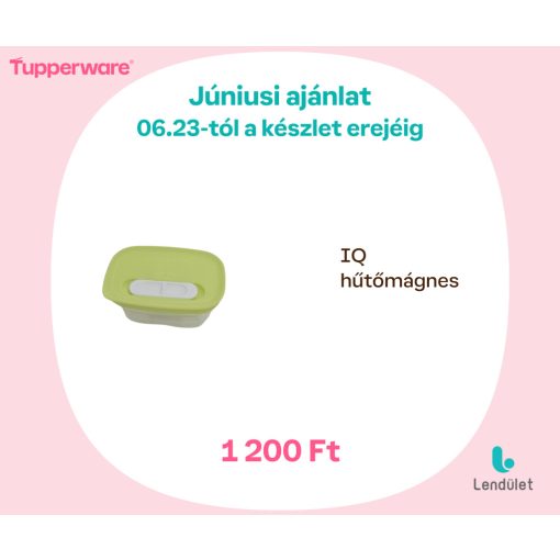 IQ hűtőmágnes