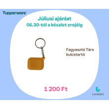 Fagyasztó Társ kulcstartó