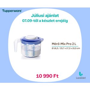 Mérő-Mix Pro 2 L
