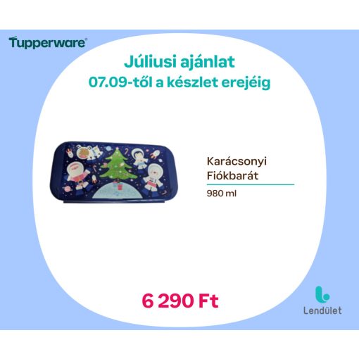 Karácsonyi Fiókbarát 980 ml