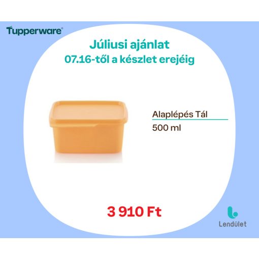 Alaplépés Tál 500 ml
