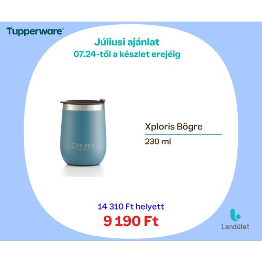 Xploris Bögre 230 ml