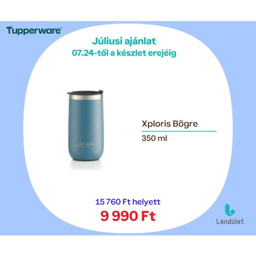 Xploris Bögre 350 ml