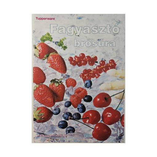 Fagyasztó Brossúra